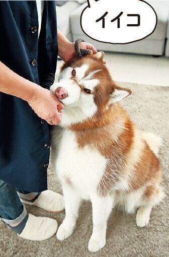 撮影／尾﨑たまき