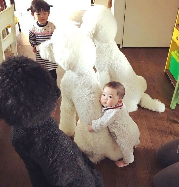 スタンプー3兄弟、女の子・まめちゃん、男の子・むぎくん