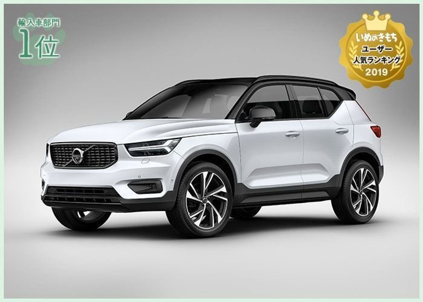 ドッグフレンドリーな自動車メーカー部門ランキング いぬのきもちユーザー人気ランキング19 いぬのきもちweb Magazine ドッグフレンドリーな自動車メーカー部門ランキング いぬのきもちユーザー人気ランキング19 いぬのきもちweb Magazine