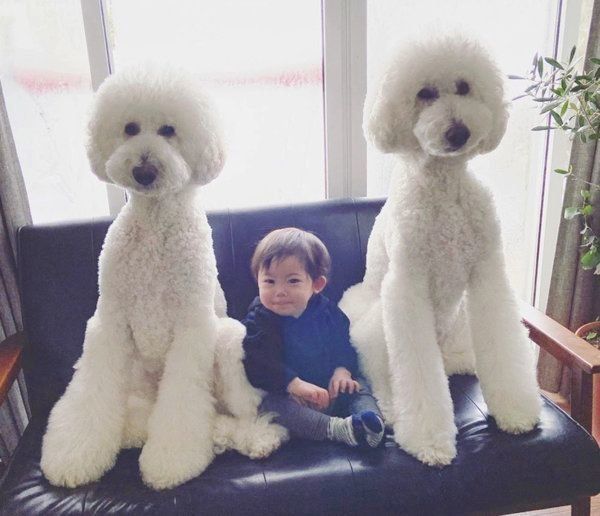 仲良く並ぶりっくん、がっくん、むぎくん