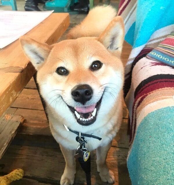 笑顔のエマちゃん