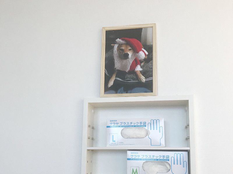 見守っています