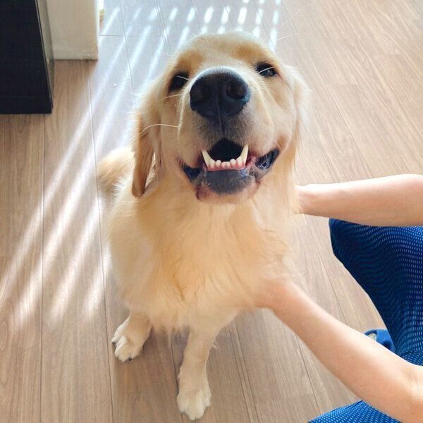 笑顔のぽち丸くん