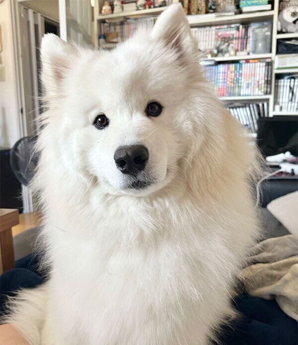 見つめるソランくん