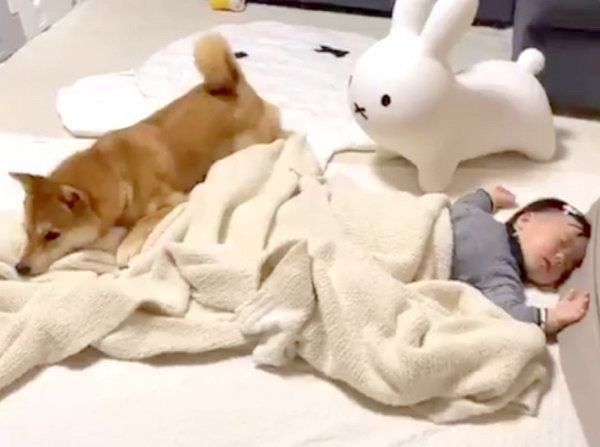 妹ちゃんに添い寝するりんご郎くん