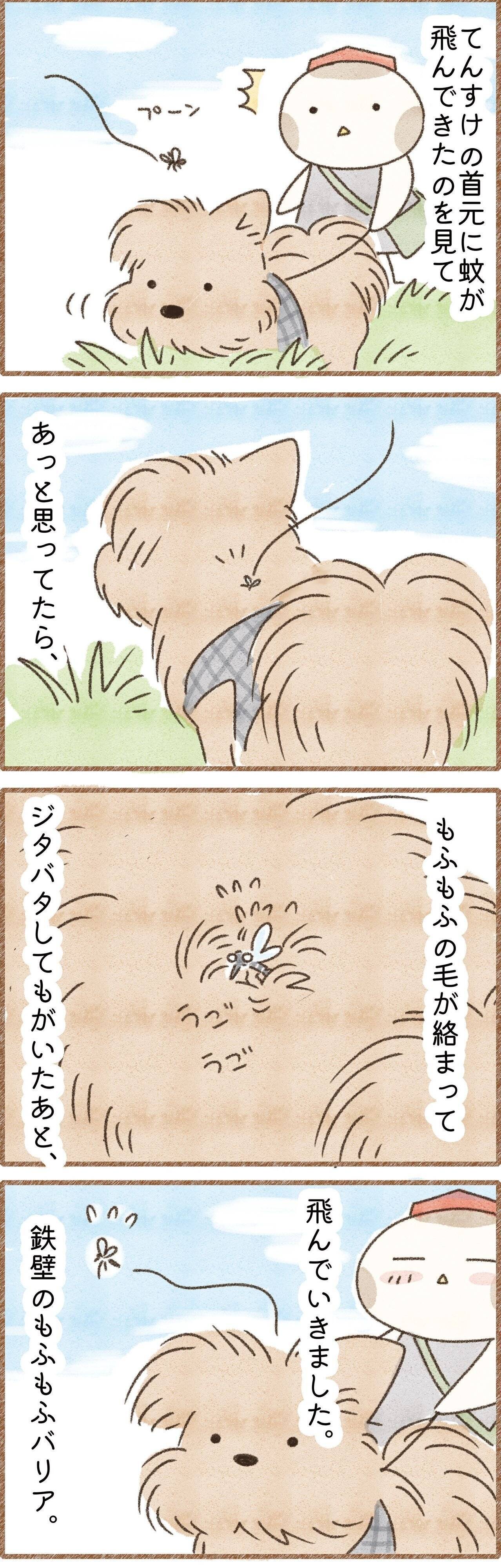 犬のもふもふ毛に退散した蚊の話の漫画