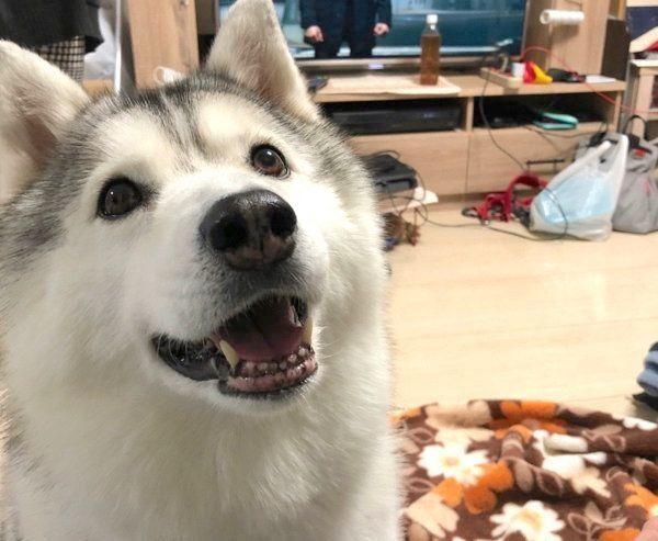 微笑むシルビアちゃん