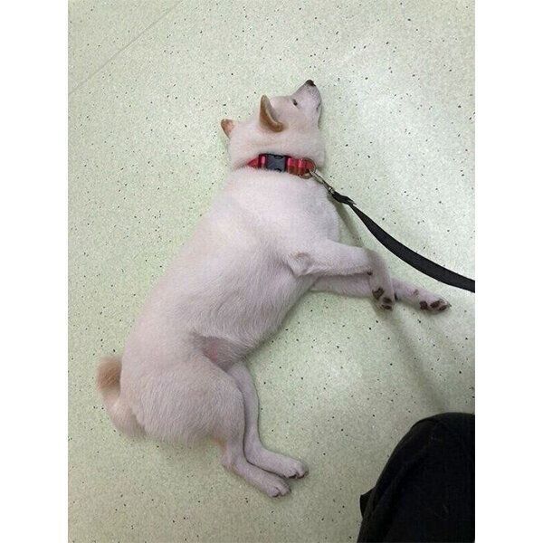 待合室で寝るゆきみちゃん