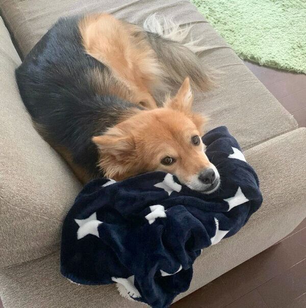 見つめるえまちゃん