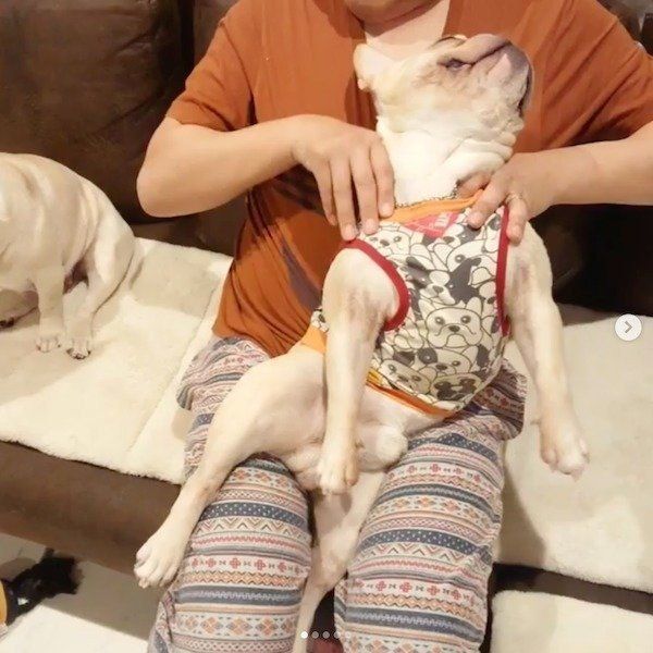 マッサージをしてもらうボブくん