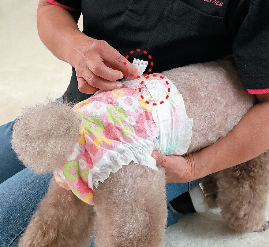 背中をテープで留めます