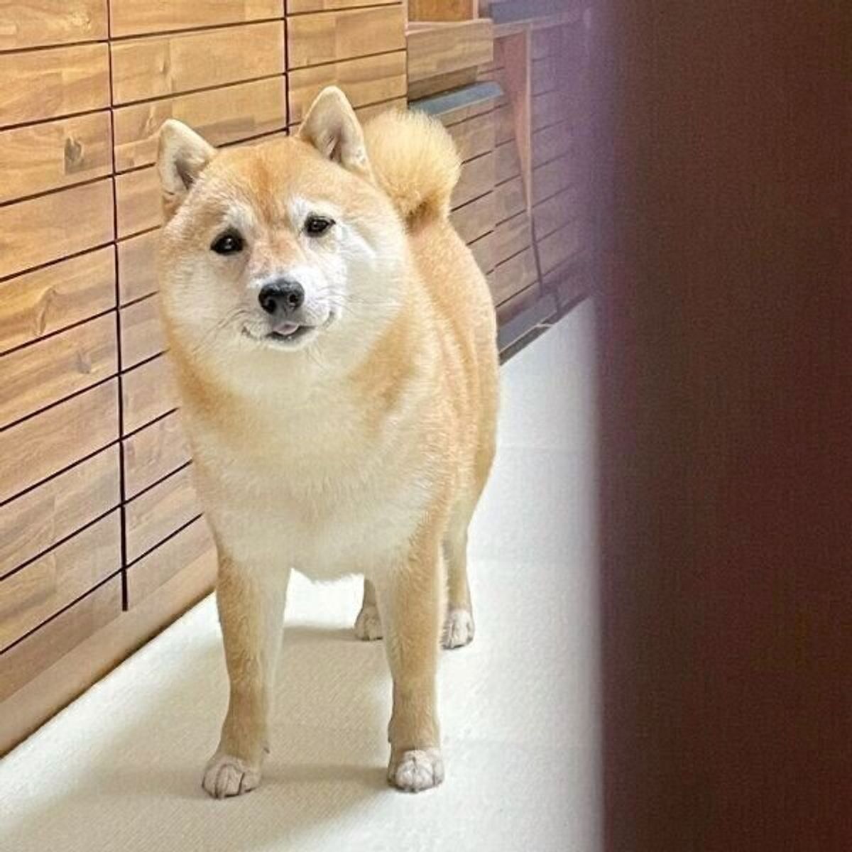 Aqecbytu Oeaem Aqecbytu Oeaem