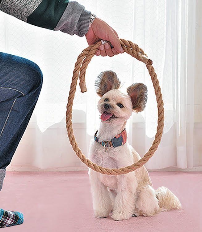 ねじねじ輪くぐり1