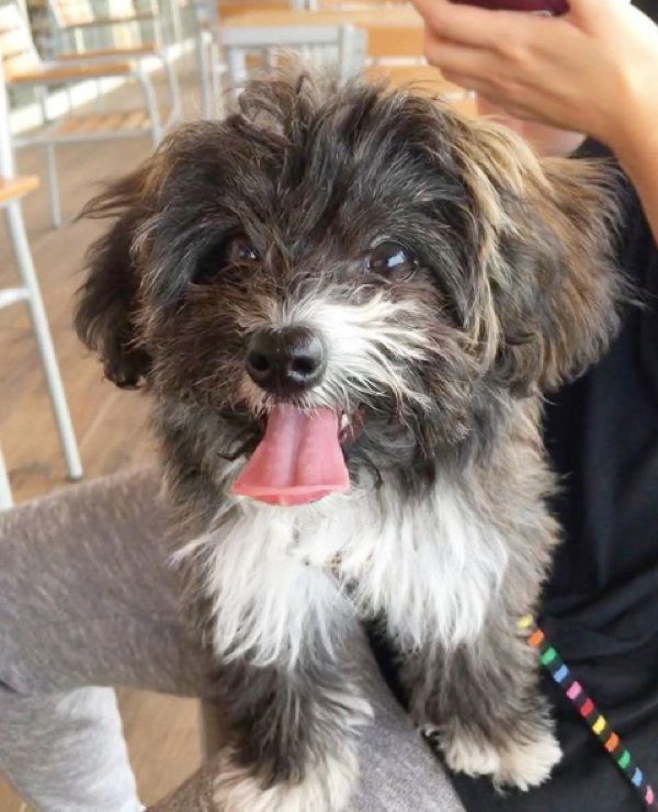 笑顔のうにちゃん