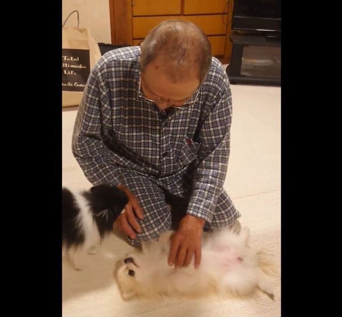 ナデナデされるこまちちゃんと、周りを駆け回るてまりちゃん