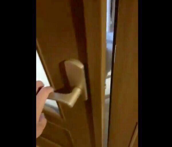 ドアを開ける飼い主さん