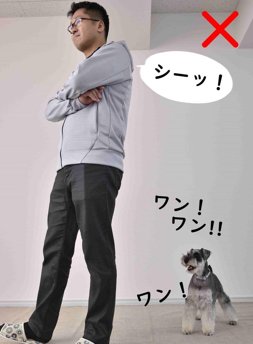 遊んで チョーダイ おねだりで吠える犬 直すには が一番 いぬのきもちweb Magazine 遊んで チョーダイ おねだりで吠える犬 直すには が一番 いぬのきもちweb Magazine