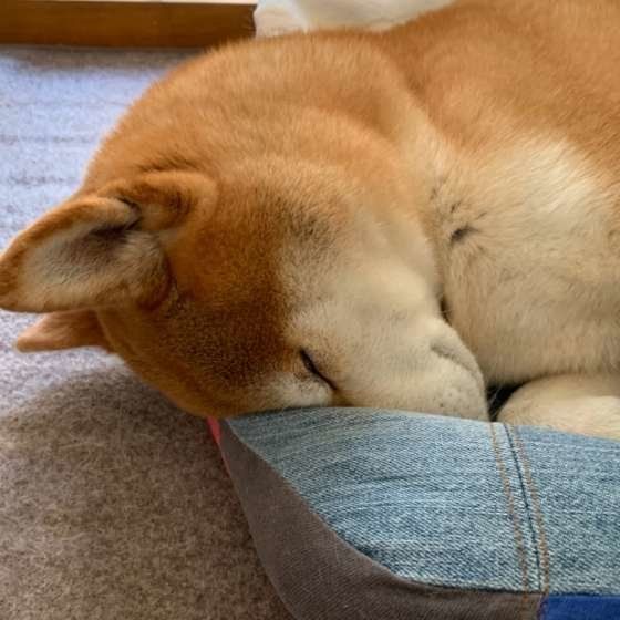 大丈夫？息できてる？