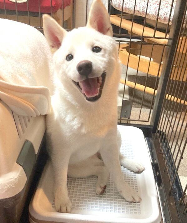 笑顔の雪海ちゃん