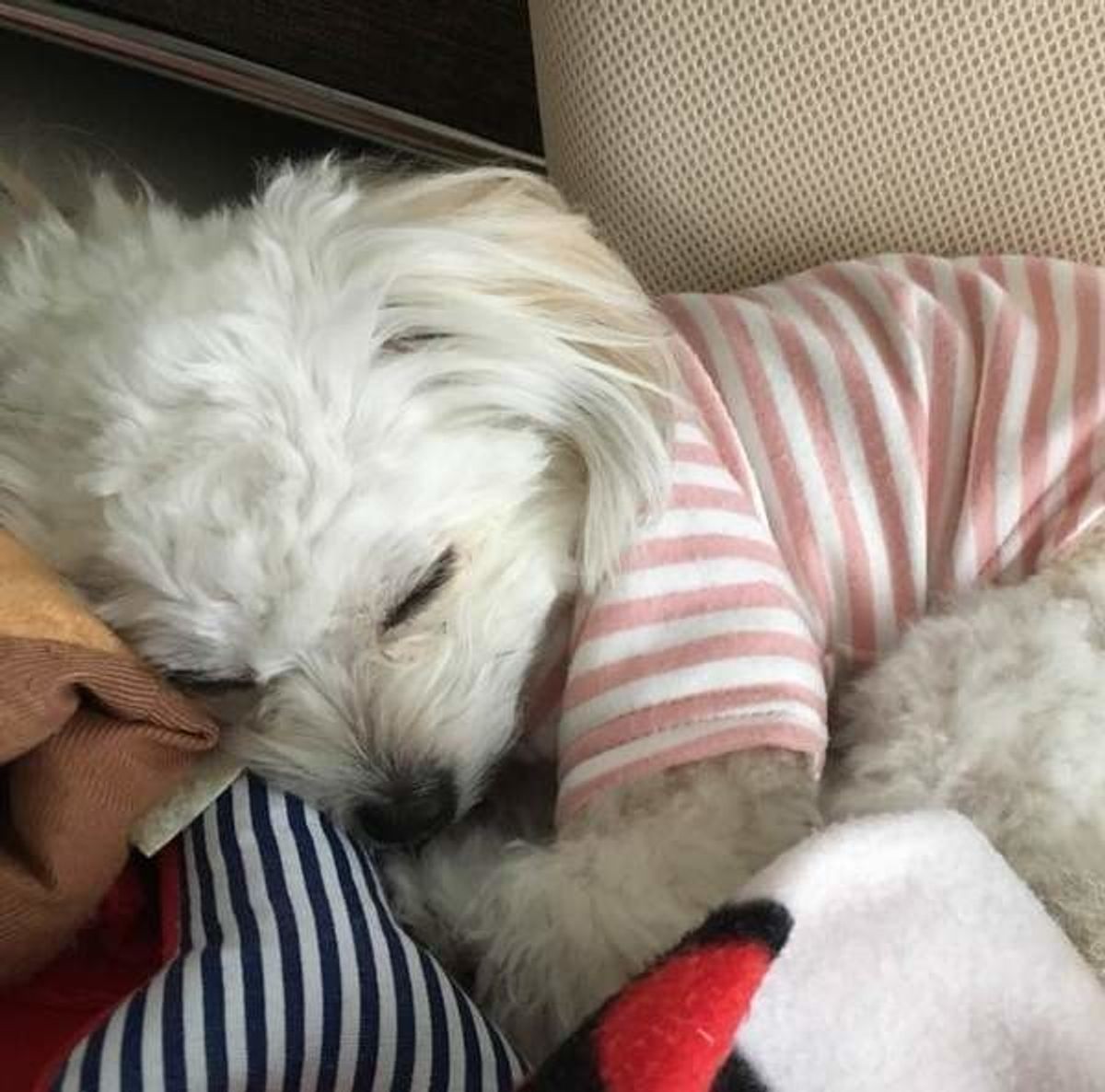 6awqqfrsmikgnm 6awqqfrsmikgnm