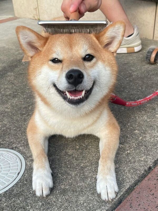 ちろちゃん専用ページ♡ - .jp