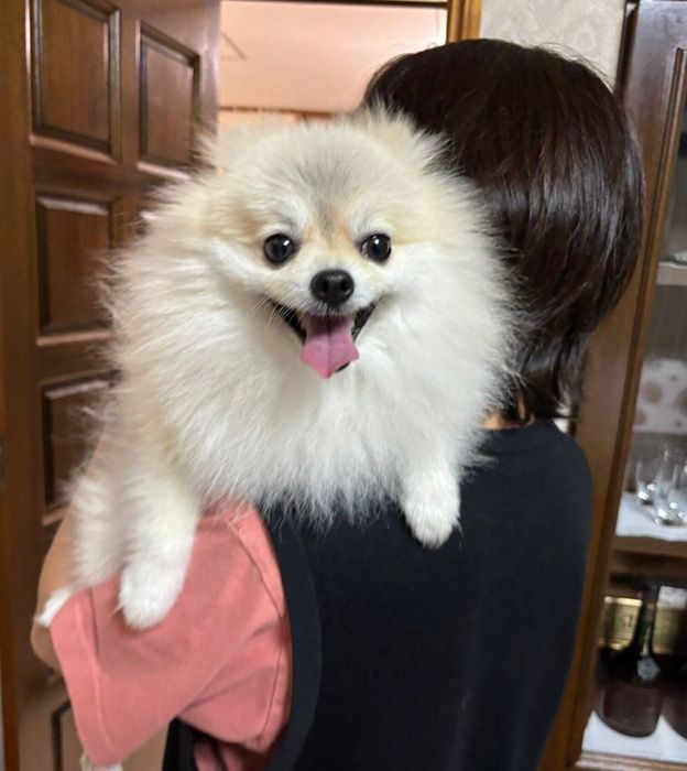 大好きなバァバに抱っこされて笑顔を見せるゴン太くん