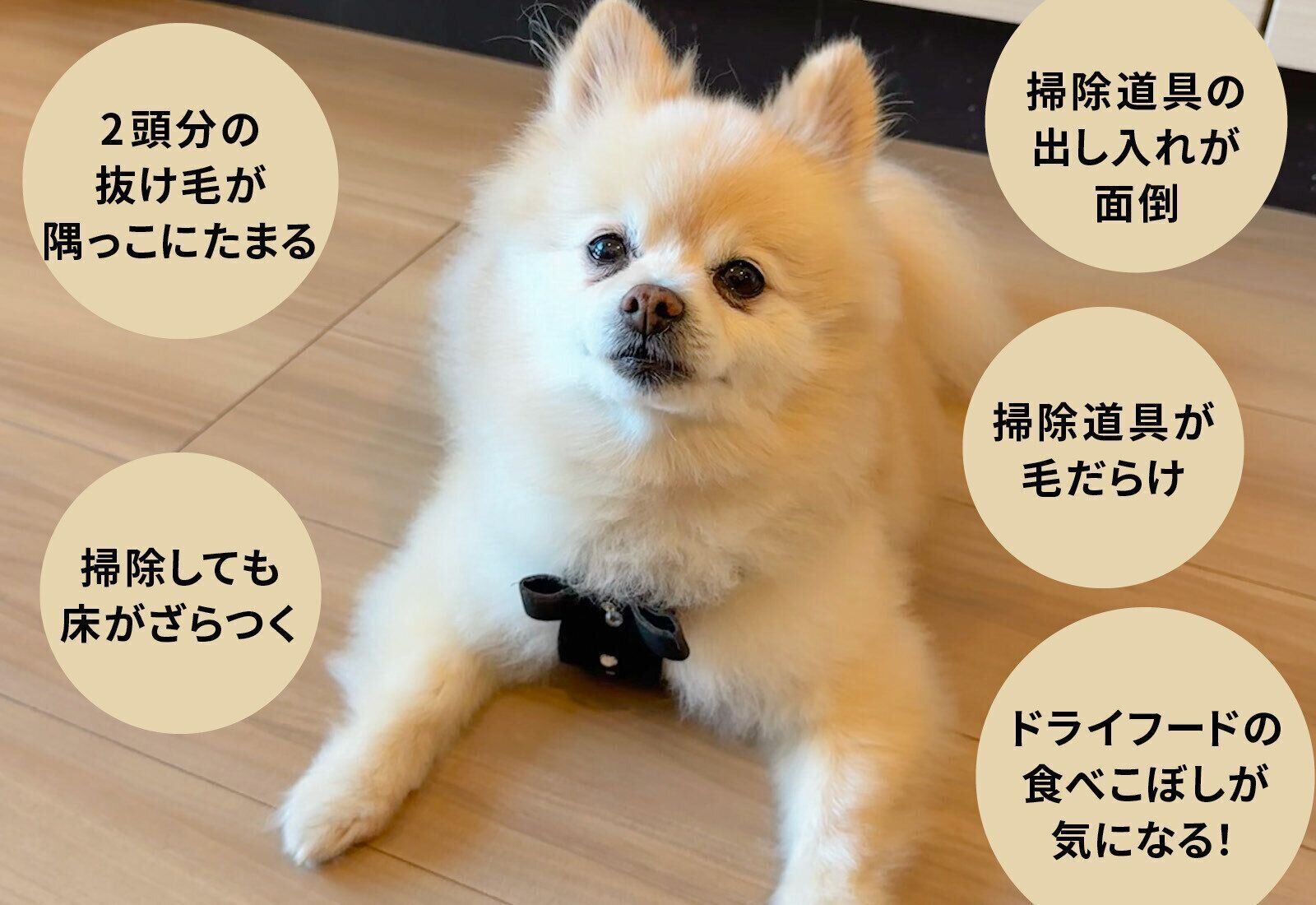 ダスキン　ペット専用モップセット　犬　抜け毛　換毛期　ペット用フロアモップ　モップクリーナー　ホコリ　散歩　ざらつき