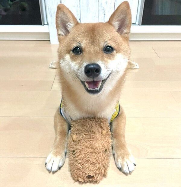 笑顔のちくわくん