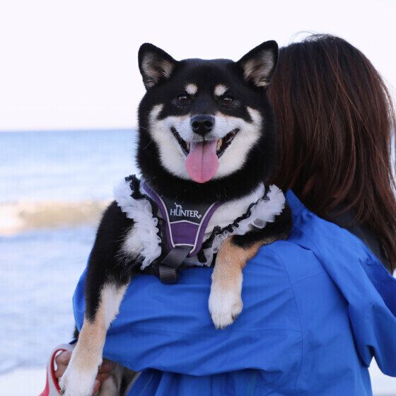 つい嬉しくなっちゃう? 犬が喜ぶ魔法の言葉をピックアップ! いぬのきもち