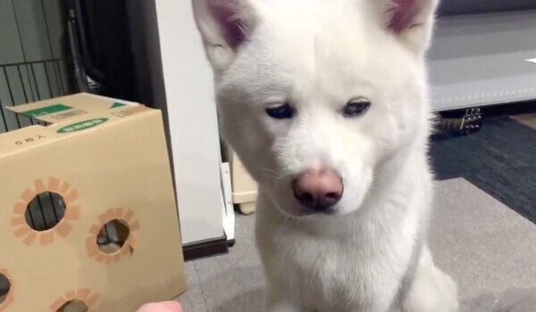 真顔になるもんたろうくん