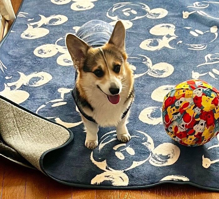 ボール遊びをしたロボちゃん