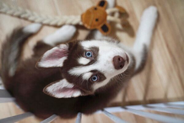 生後3カ月の大吉くん