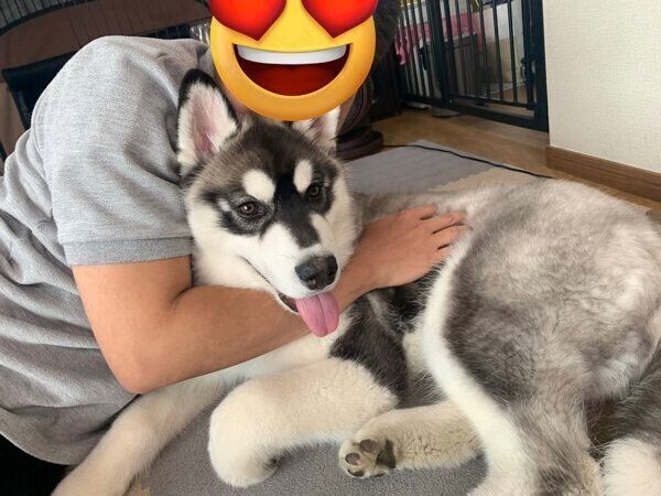 嬉しそうなウルリくん