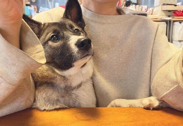 飼い主さんに寄り添うととちゃん