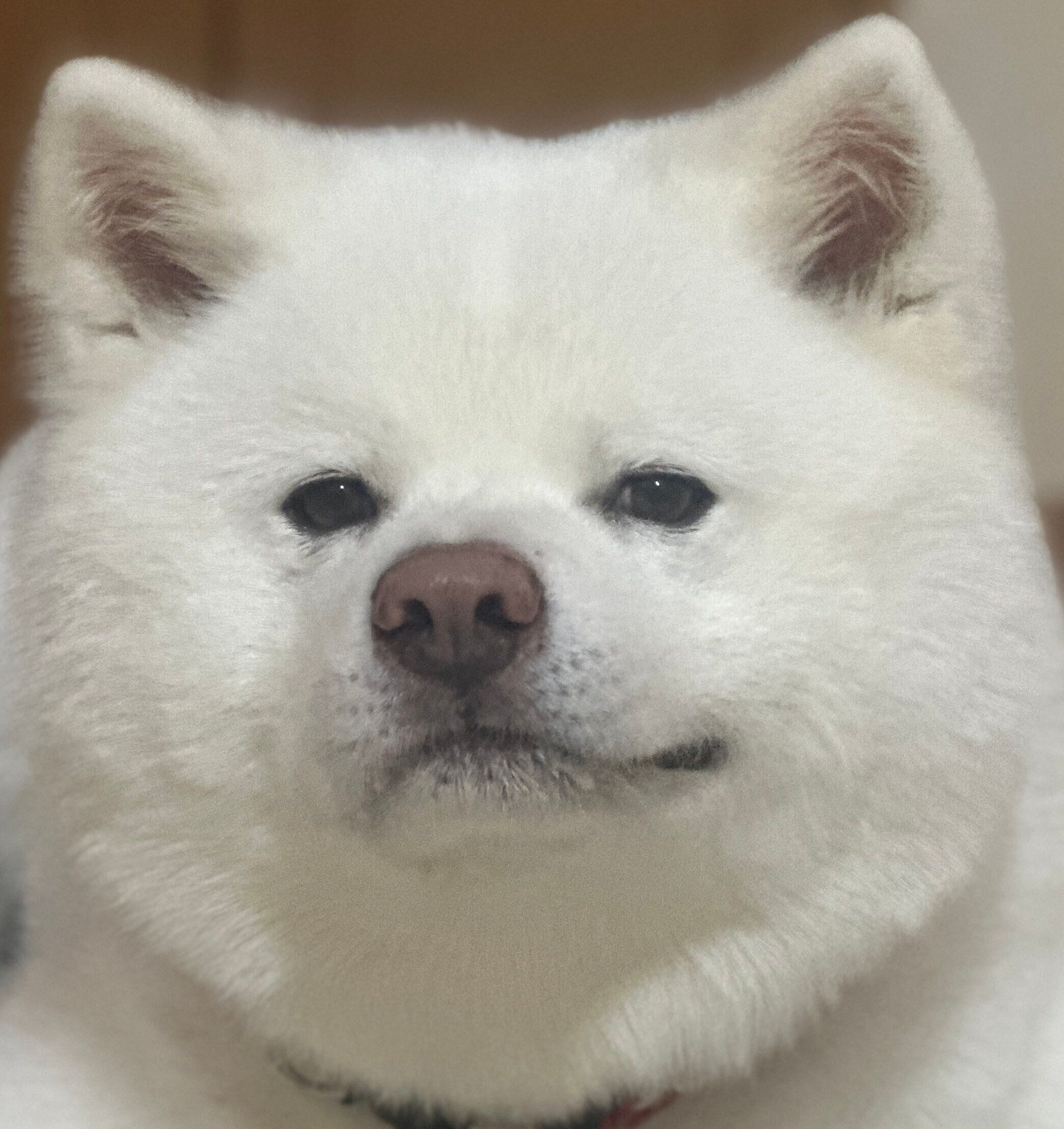 立派に成長した海くん