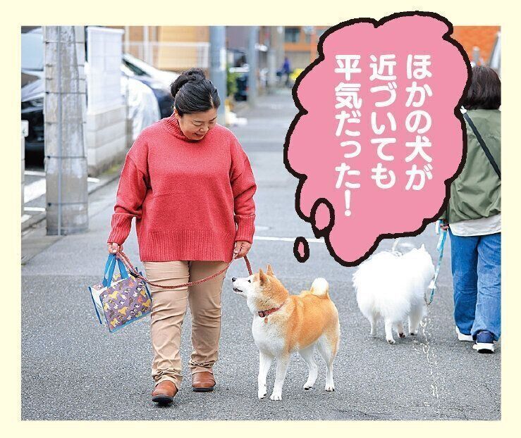 撮影／尾﨑たまき