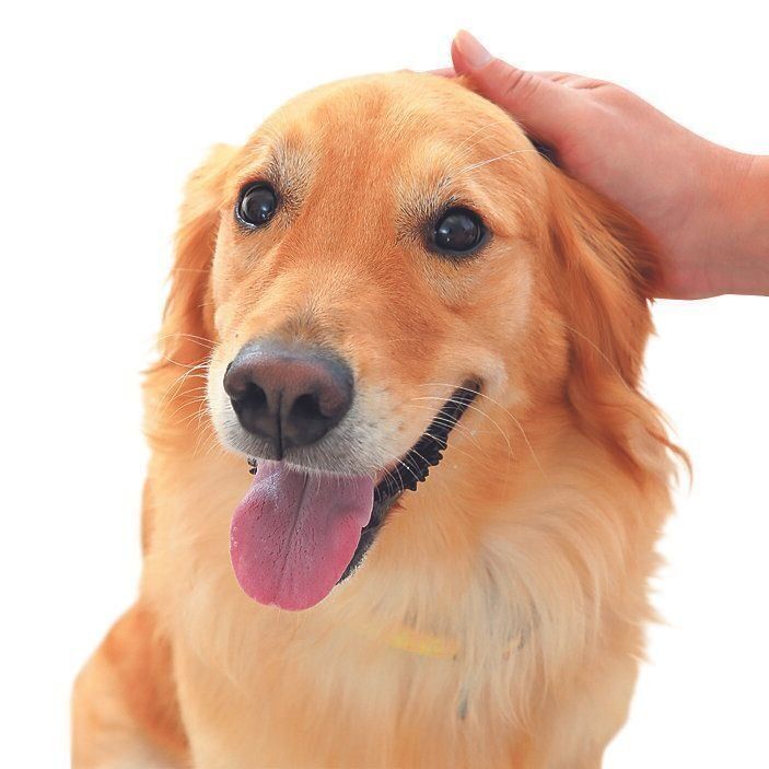 耳の力が抜けて間が広がることも