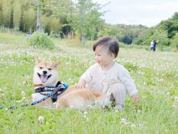 素敵な表情を見せるりんご郎くんと妹ちゃん