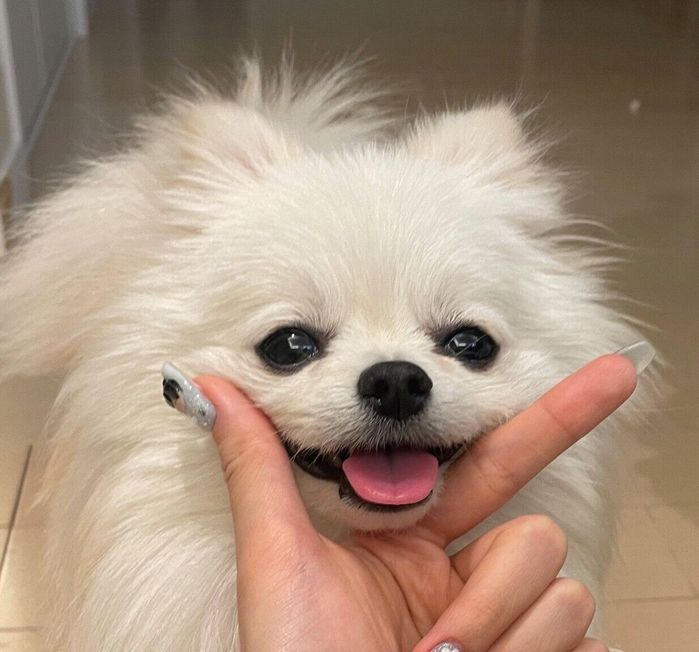 笑顔が可愛いえまちゃん