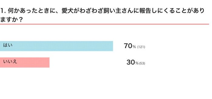 いぬのきもちWEB MAGAZINE『「犬飼いあるある」に関するアンケートvol.19』 175件の回答