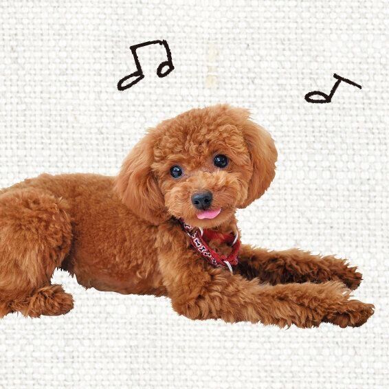 撮影／佐藤正之