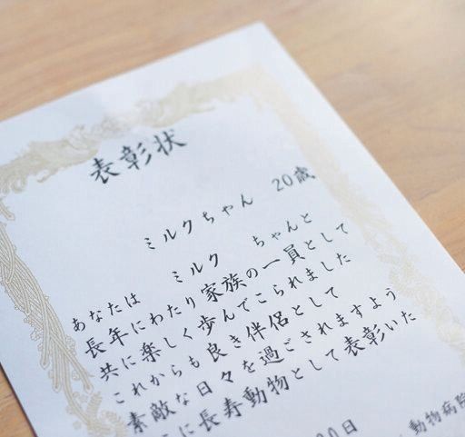 20才を迎え、ミルクくんとMさんはかかりつけの動物病院から表彰されました