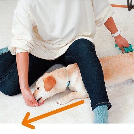 撮影／殿村忠博