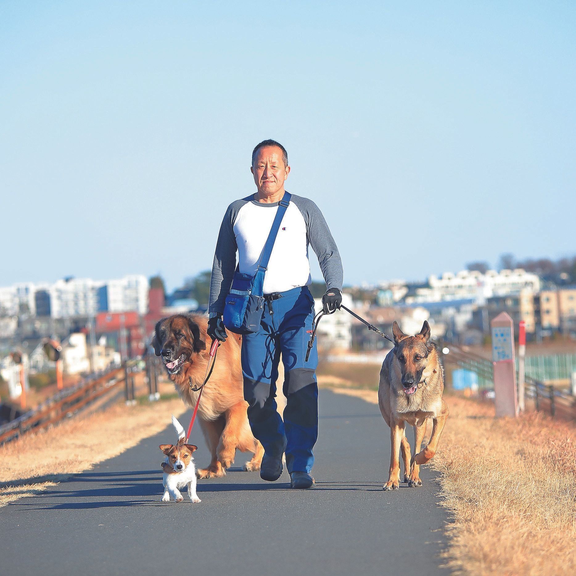お話を伺ったIさん。ロデムくん（オス・４才／ジャーマン・シェパード・ドッグ）と同居犬のポテくん（中央）、シナモンちゃん（左）が朝夕いっしょに散歩する姿は地元の名物。たくさん声がかかります