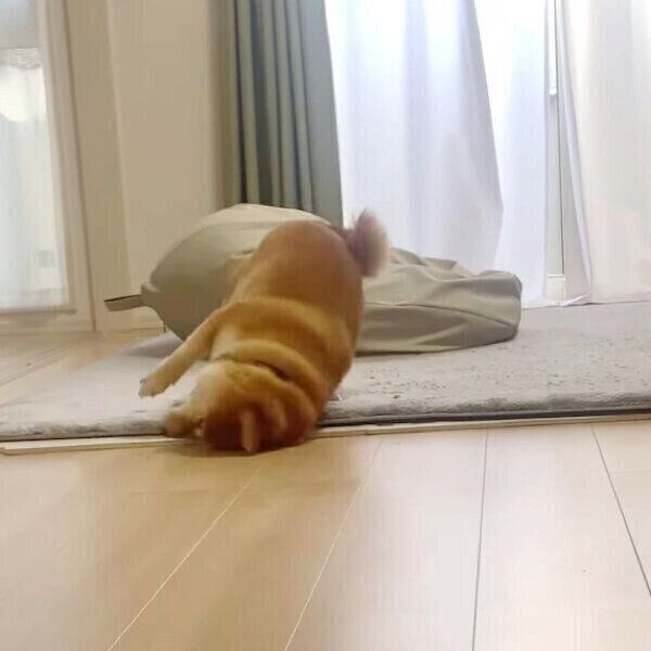 拗ねる八朔くん