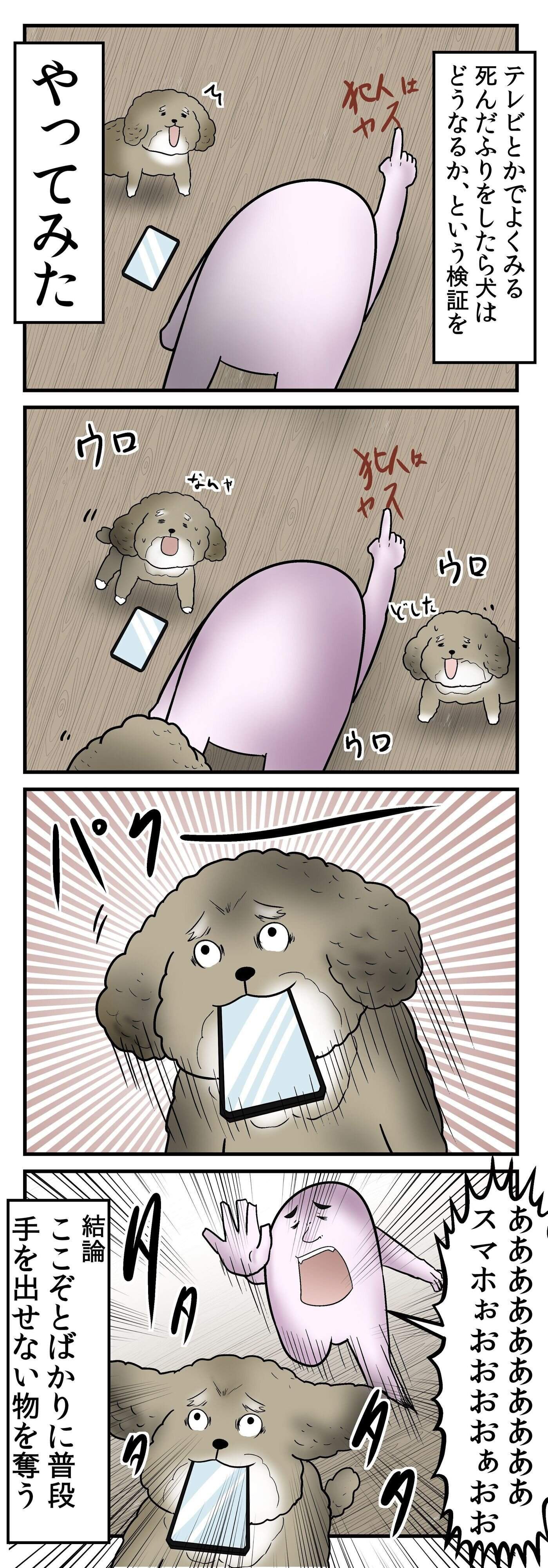 飼い主が倒れたフリしたら愛犬はどうなる をやってみた やしろあずきときなこの日常 最終話 Vol 13 いぬのきもちweb Magazine 飼い主が倒れたフリしたら愛犬はどうなる をやってみた やしろあずきときなこの日常 最終話 Vol 13 いぬのきもちweb Magazine