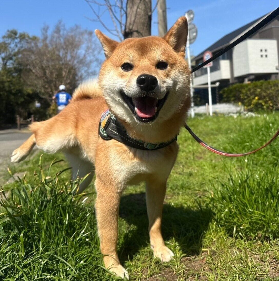 楽しそうなぽたくん