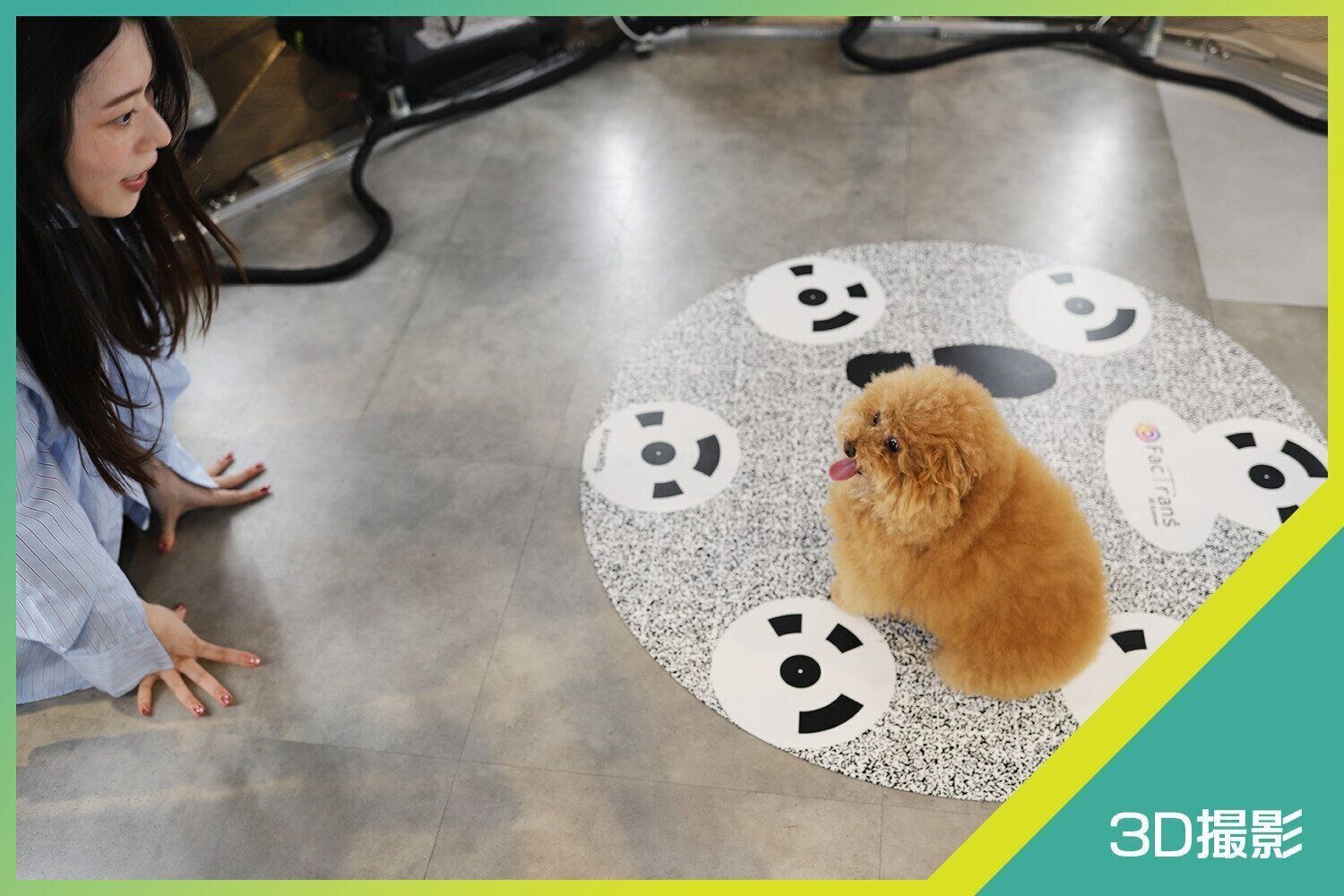 ぷー子ちゃんも撮影に挑戦！愛犬に目線を合わせたまま、ブース外へ移動する飼い主さん