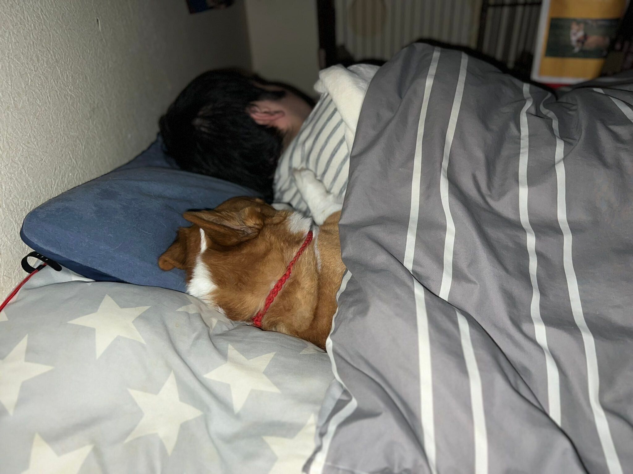 パパさんと一緒に眠るアインくん