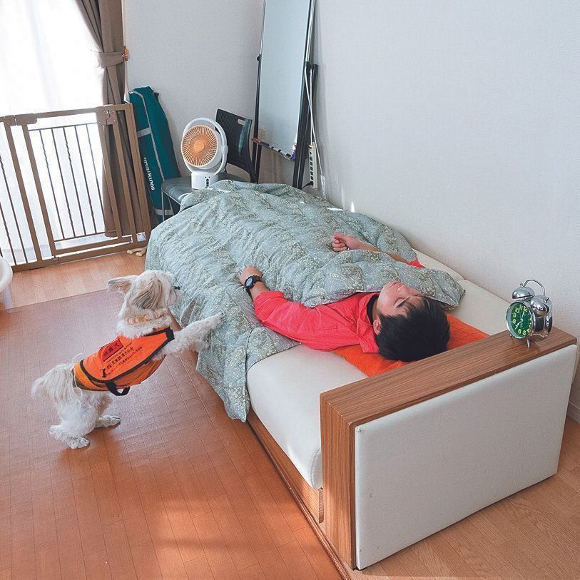 協会の東京支部で、聴導犬候補のなかちゃんがアラームに反応して訓練生スタッフを起こす様子。おなかにも乗ります！